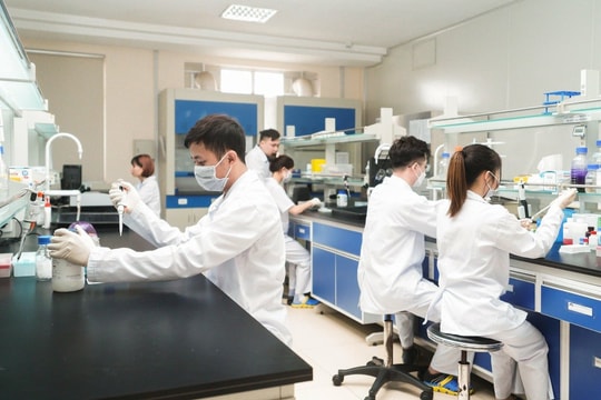 Việt Nam sẽ xuất 150.000 liều vaccine tả lợn châu Phi sang Philippines