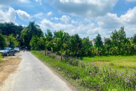 Dự án khu dân cư thương mại Phí Xá (Cẩm Giàng) vẫn chưa được bàn giao mặt bằng