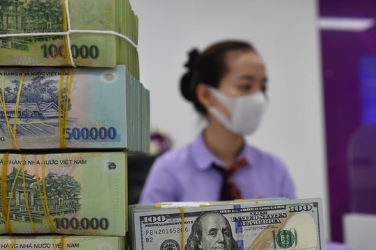 Giá USD tại các ngân hàng giảm sâu, "thủng" mốc 25.000 đồng/USD