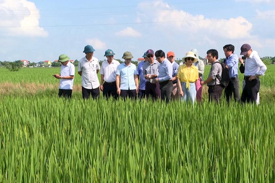 Doanh nghiệp tìm cơ hội hợp tác triển khai dự án tín chỉ carbon tại Hải Dương