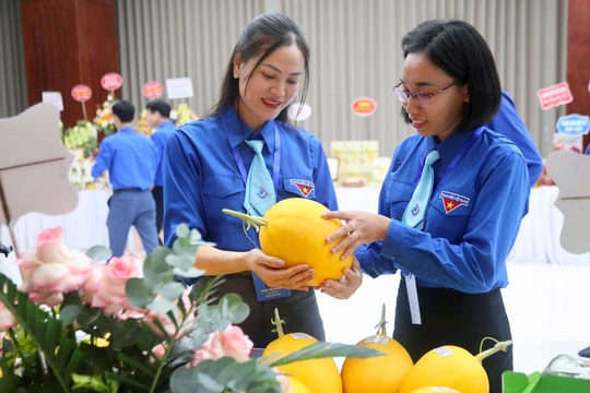 Thanh niên Hải Dương giới thiệu, quảng bá sản phẩm OCOP
