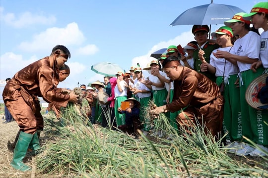 Đồng chí Chủ tịch UBND tỉnh Hải Dương sẽ đối thoại với nông dân trong quý IV