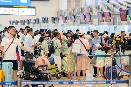 Bay đêm vé rẻ, khung giờ vàng trong ngày giá tăng vọt lên 40%