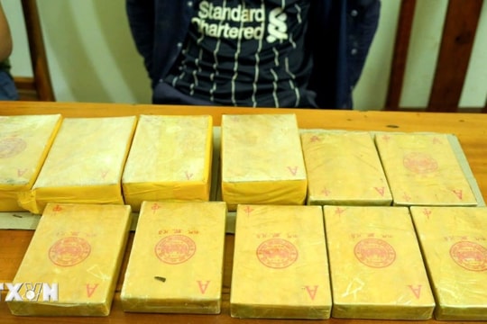 Bắt đối tượng vận chuyển 15 bánh heroin từ biên giới Việt-Lào
