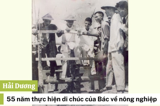 Nông nghiệp Hải Dương ra sao sau 55 năm thực hiện Di chúc của Bác?