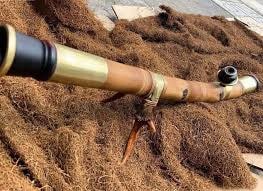 Con sẽ cai nghiện thuốc lào cùng bố