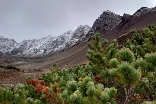 Tìm thấy toàn bộ 22 thi thể trong vụ rơi trực thăng ở Kamchatka, Nga