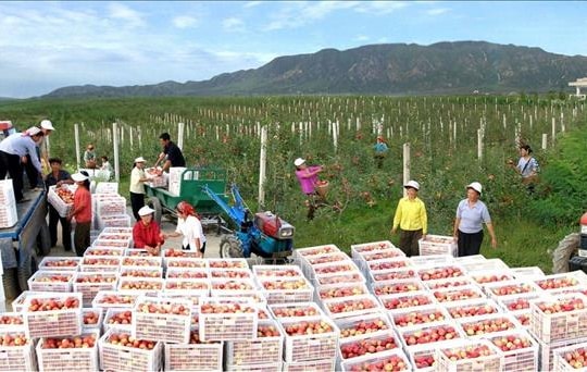 Triều Tiên đẩy nhanh hiện đại hóa các vùng nông thôn