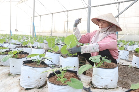 Những chính sách kinh tế có hiệu lực từ tháng 11