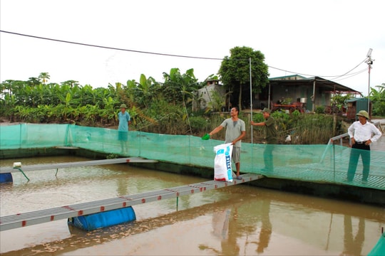 Sức sống mới ở những ngôi làng ngoài đê