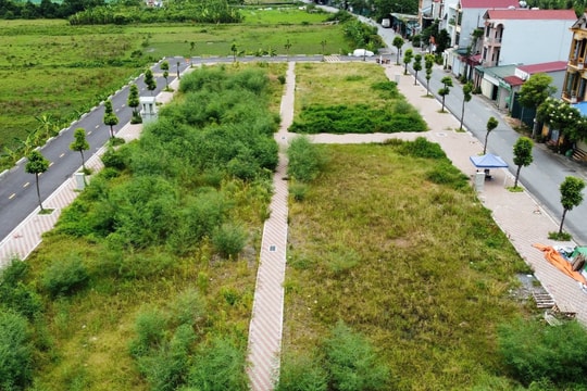 Vì sao huyện Thanh Oai (Hà Nội) tiếp tục dừng đấu giá đất, trả lại tiền?