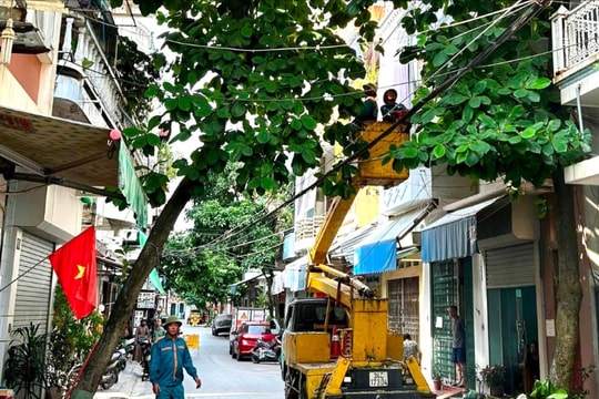 TP Hải Dương cắt tỉa hơn 500 cây xanh đô thị tiềm ẩn nguy hiểm trước cơn bão số 3