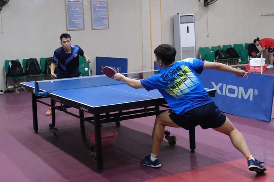 Hải Dương có 4 đội tranh Giải bóng bàn quốc tế cúp Côn Sơn