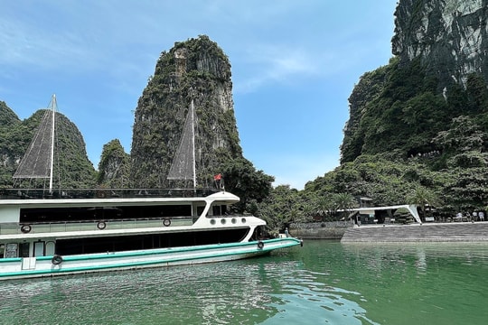 Hủy nhiều tour du thuyền đêm trên vịnh Hạ Long, Lan Hạ vì bão