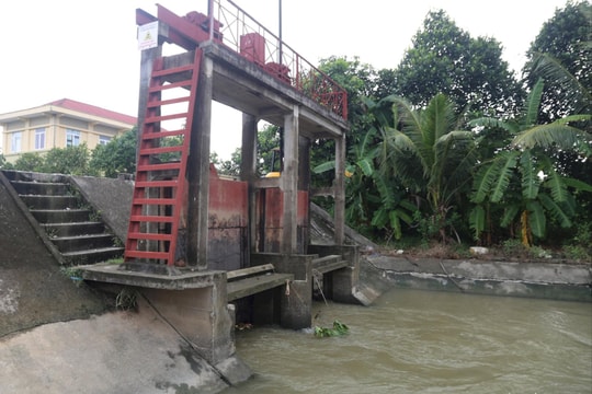 Công ty Khai thác công trình thủy lợi Hải Dương trực 100% quân số, chuẩn bị ứng phó bão số 3