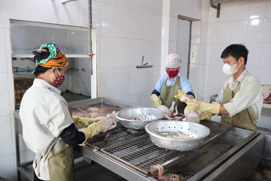 Xây dựng cơ sở giết mổ tập trung ở các huyện - "bài toán" khó giải
