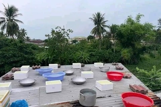 Muôn kiểu gia cố nhà cửa của người dân trước giờ bão số 3 đổ bộ