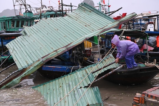 Hải Phòng, Quảng Ninh tan hoang sau bão số 3