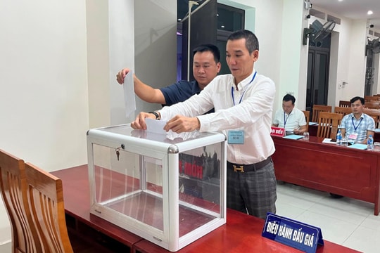 Công ty CP Kỹ thương Trường Sinh trúng đấu giá khai thác mỏ đất đồi Đại Bộ (Chí Linh)