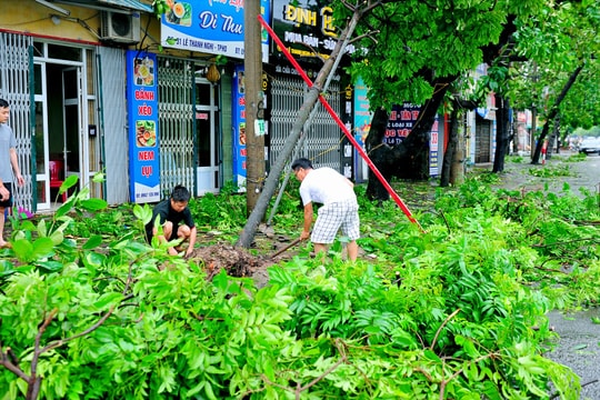 Hai Duong rushes to overcome impacts of super typhoon Yagi