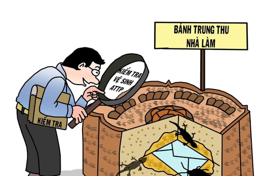 Bánh Trung thu... "nhà làm"