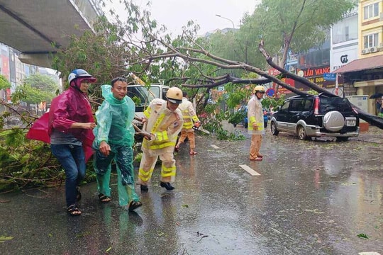 Hà Nội có 3 người chết, 8 người bị thương, gần 2.500 cây đổ do bão số 3