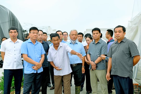 Phó Thủ tướng Chính phủ Lê Thành Long tới thăm, chia sẻ với người dân Hải Dương bị thiệt hại do bão số 3