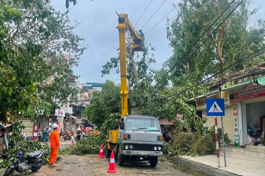 250.000 khách hàng đã có điện sinh hoạt trở lại