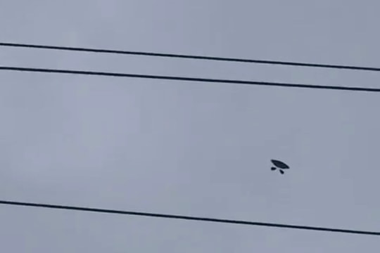 Vừa có điện, các xã Cộng Hoà, Phú Điền (Nam Sách) lại mất điện do… diều