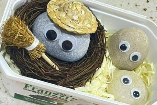 Vừa nghèo vừa cô đơn, gen Z Trung Quốc đua nhau "nuôi" đá cuội làm thú cưng