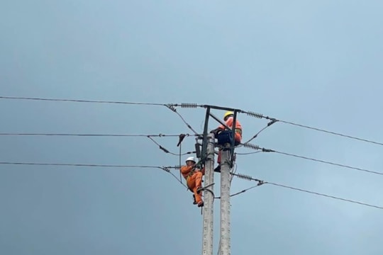 70% of household customers regain electricity after Typhoon Yagi