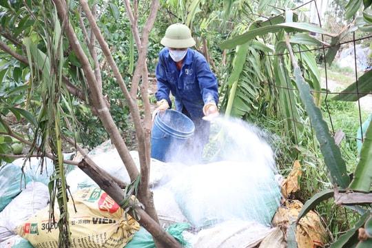 Nông dân Hải Dương gia cố, xử lý chuồng trại bị thiệt hại sau do bão số 3