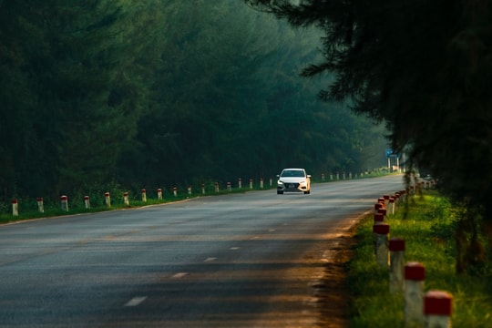 Cung đường như "Đà Lạt thu nhỏ" ở Hải Dương xơ xác sau bão, dân mạng tiếc nuối