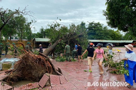 Hội Nhà báo Việt Nam kêu gọi hội viên ủng hộ đồng bào bị ảnh hưởng bởi bão số 3