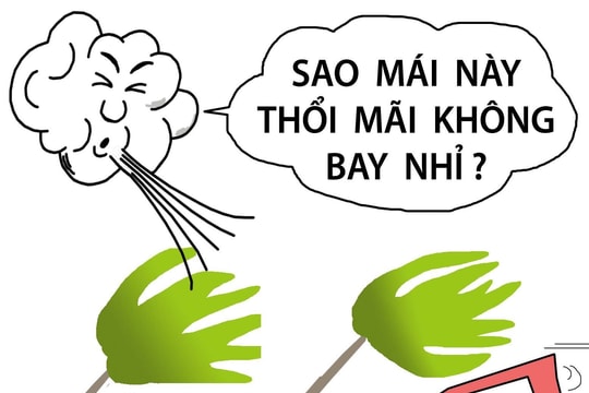 Bão cũng chào thua