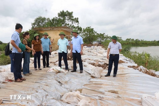 Chưa xảy ra sự cố mất an toàn đê điều tại các tỉnh, thành phố đang có mưa lũ
