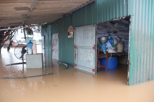 Các hộ nuôi cá lồng ở Hải Dương gia cố lồng bè, khẩn trương thu hoạch cá