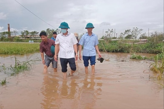 Khu vực miền núi và trung du Bắc Bộ tiếp tục có mưa to trên diện rộng