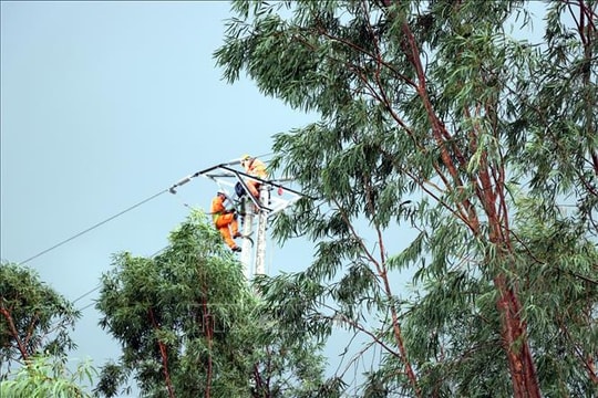 Bộ Công thương ra công điện hỏa tốc khắc phục hậu quả bão số 3 và mưa lũ