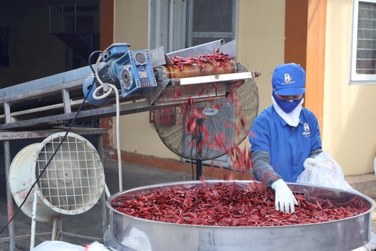 Người dân Cẩm Giàng chủ động làm OCOP