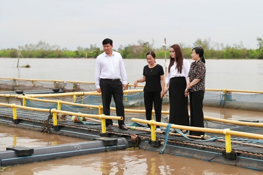 Ngân hàng đi thống kê thiệt hại do bão lũ để cơ cấu nợ, giảm lãi vay cho khách