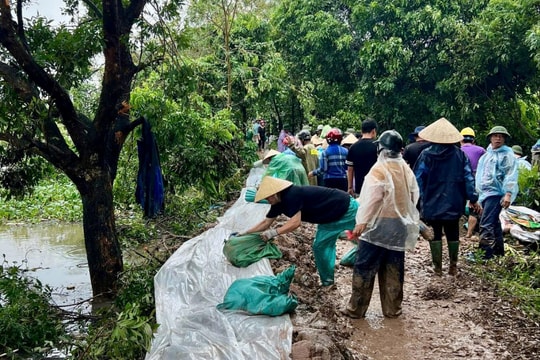 Dồn sức chống tràn bờ kênh Bắc Hưng Hải ở Hải Dương