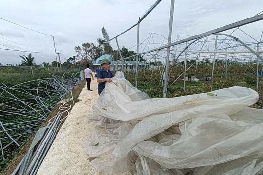 Hải Dương rút ngắn tối đa thời gian kiểm tra, thẩm định, phê duyệt hồ sơ thiệt hại bão số 3