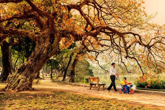 Phiên khúc mùa thu