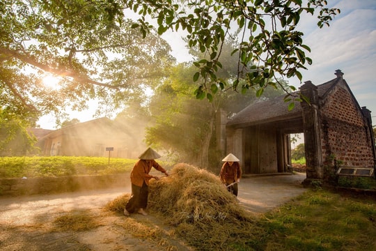 Về làng…