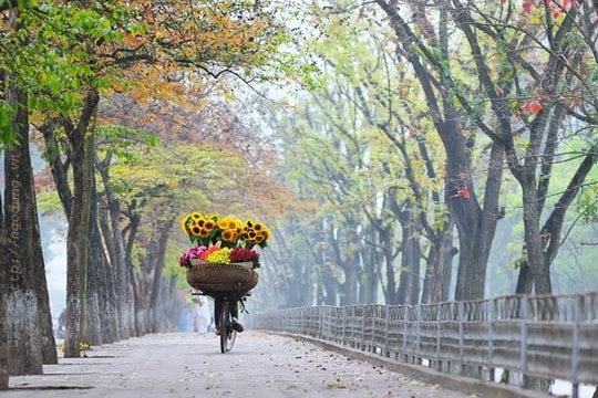 Nhớ thu