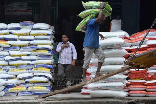 Ấn Độ dỡ bỏ giới hạn giá xuất khẩu gạo Basmati