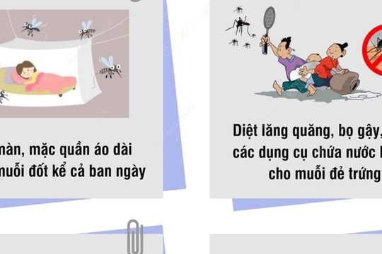 Phòng chống bệnh do muỗi truyền sau mưa bão