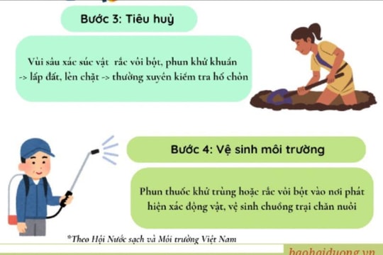Xử lý môi trường sau bão lũ