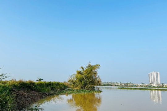Hải Dương rút báo động III trên sông Thái Bình